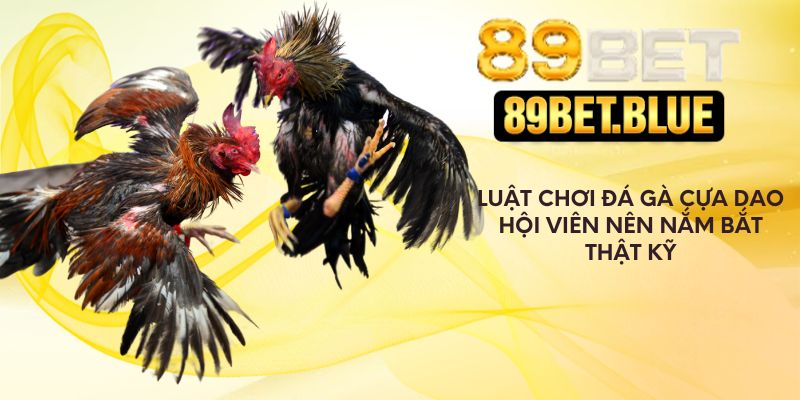 Luật chơi đá gà cựa dao hội viên nên nắm bắt thật kỹ