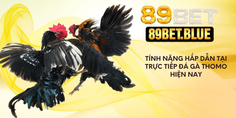 Tính năng hấp dẫn tại trực tiếp đá gà Thomo hiện nay