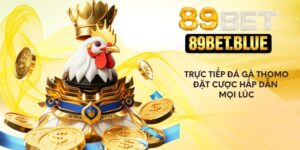 Trực Tiếp Đá Gà Thomo – Đặt Cược Hấp Dẫn Mọi Thời Điểm