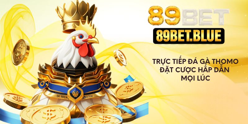 Trực Tiếp Đá Gà Thomo – Đặt Cược Hấp Dẫn Mọi Thời Điểm